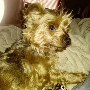 Meet your Posher, Mike